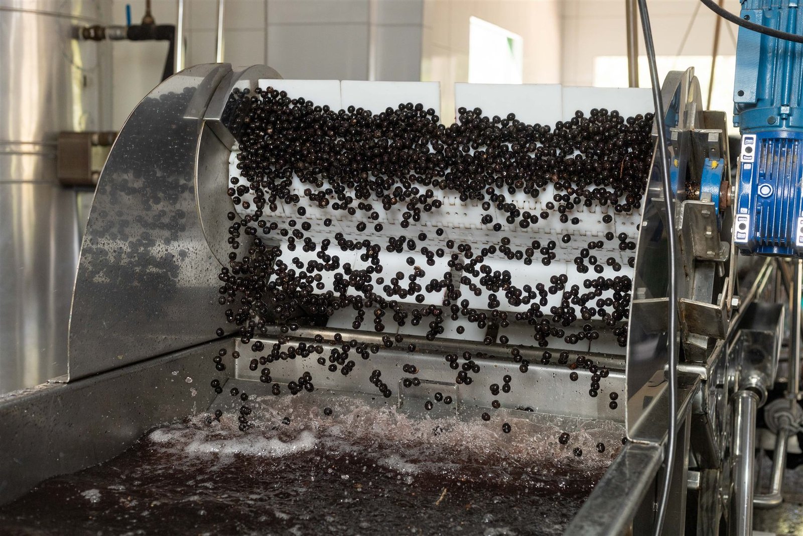 Açaí servido na tigela